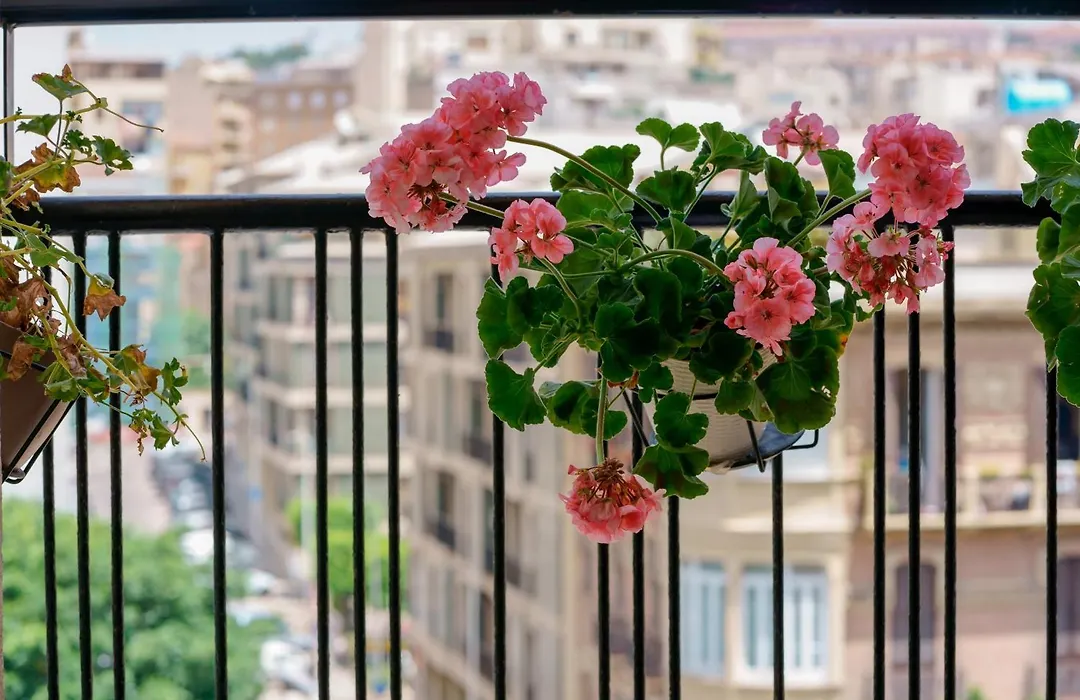 Welcome Cagliari-1